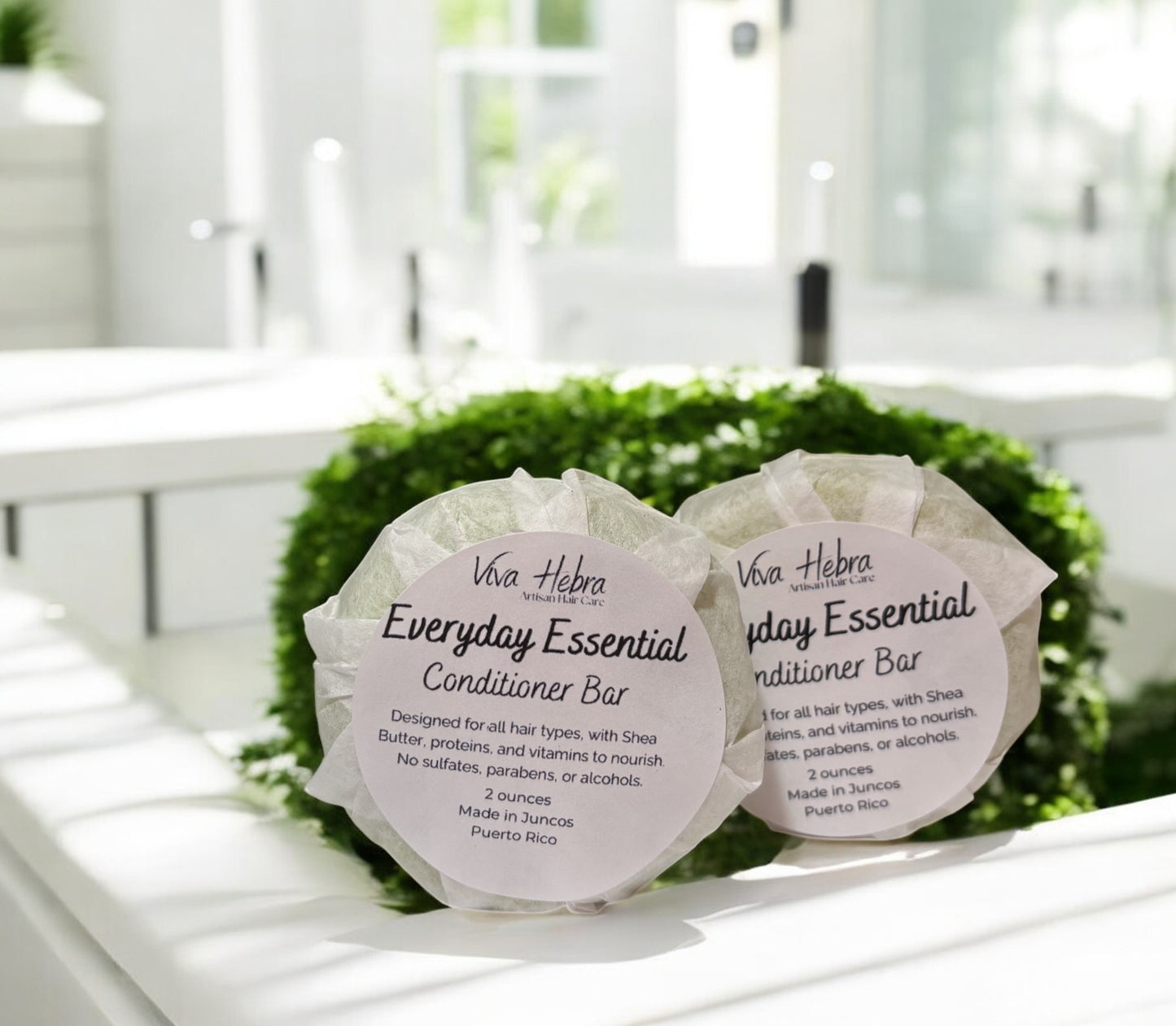 Everyday Essential Shampoo and Conditioner