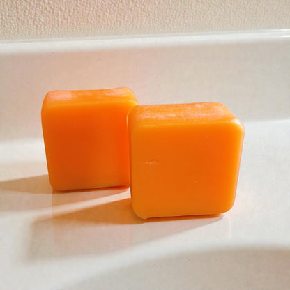 Everyday Essential Shampoo and Conditioner