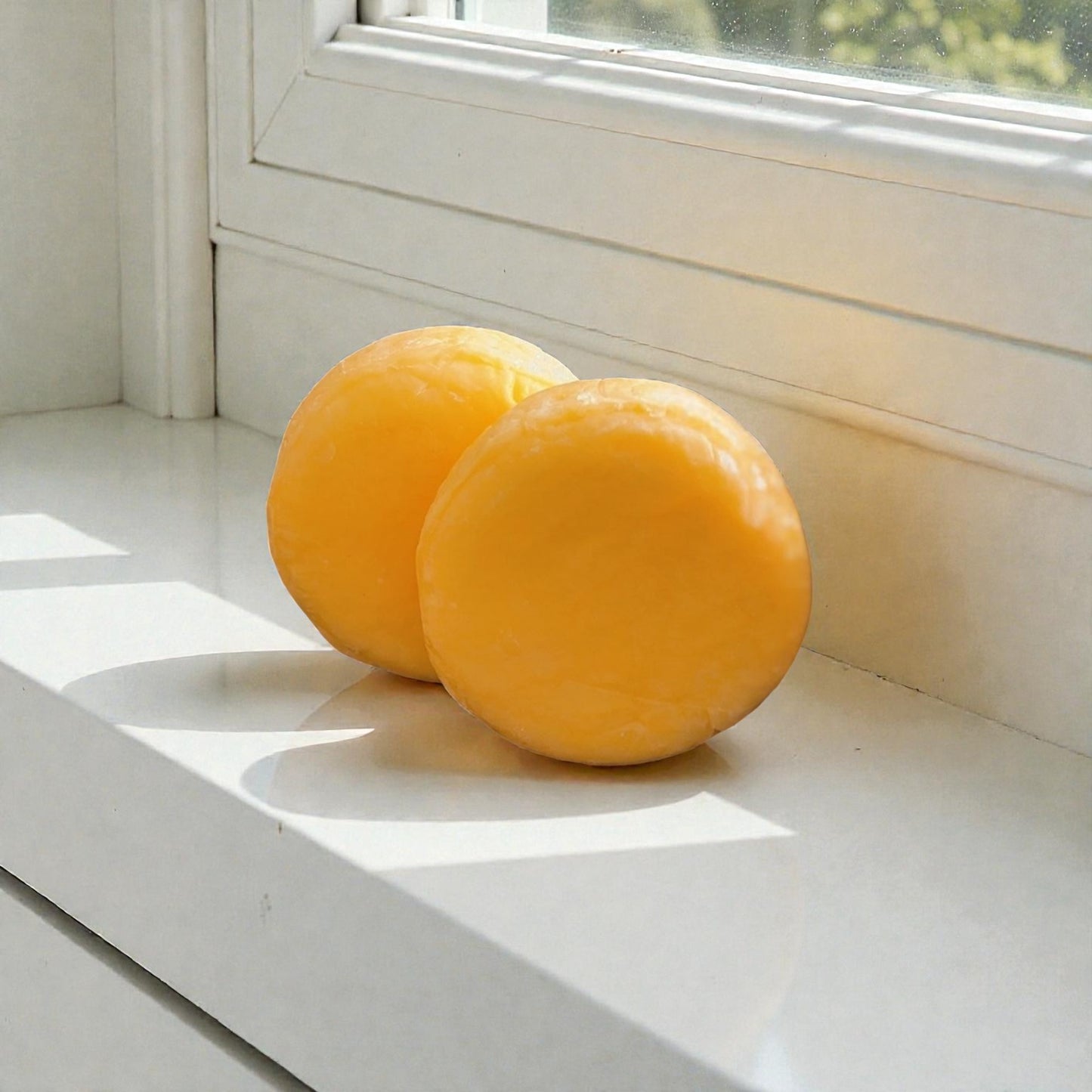 Everyday Essential Shampoo and Conditioner